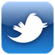 logo-twitter
